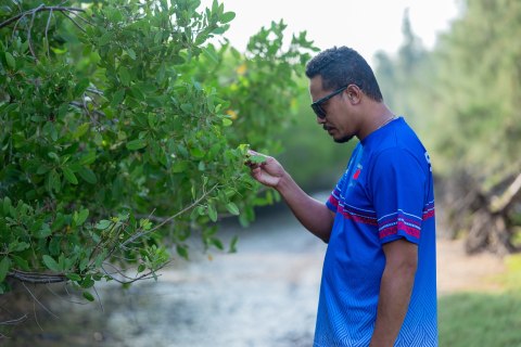 picture